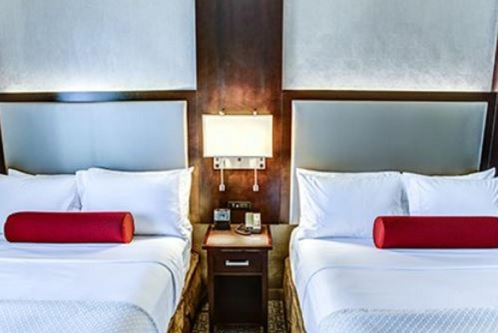 Cambria Hotel White Plains - Downtown Esterno foto