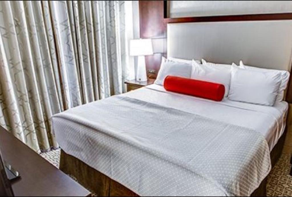 Cambria Hotel White Plains - Downtown Esterno foto